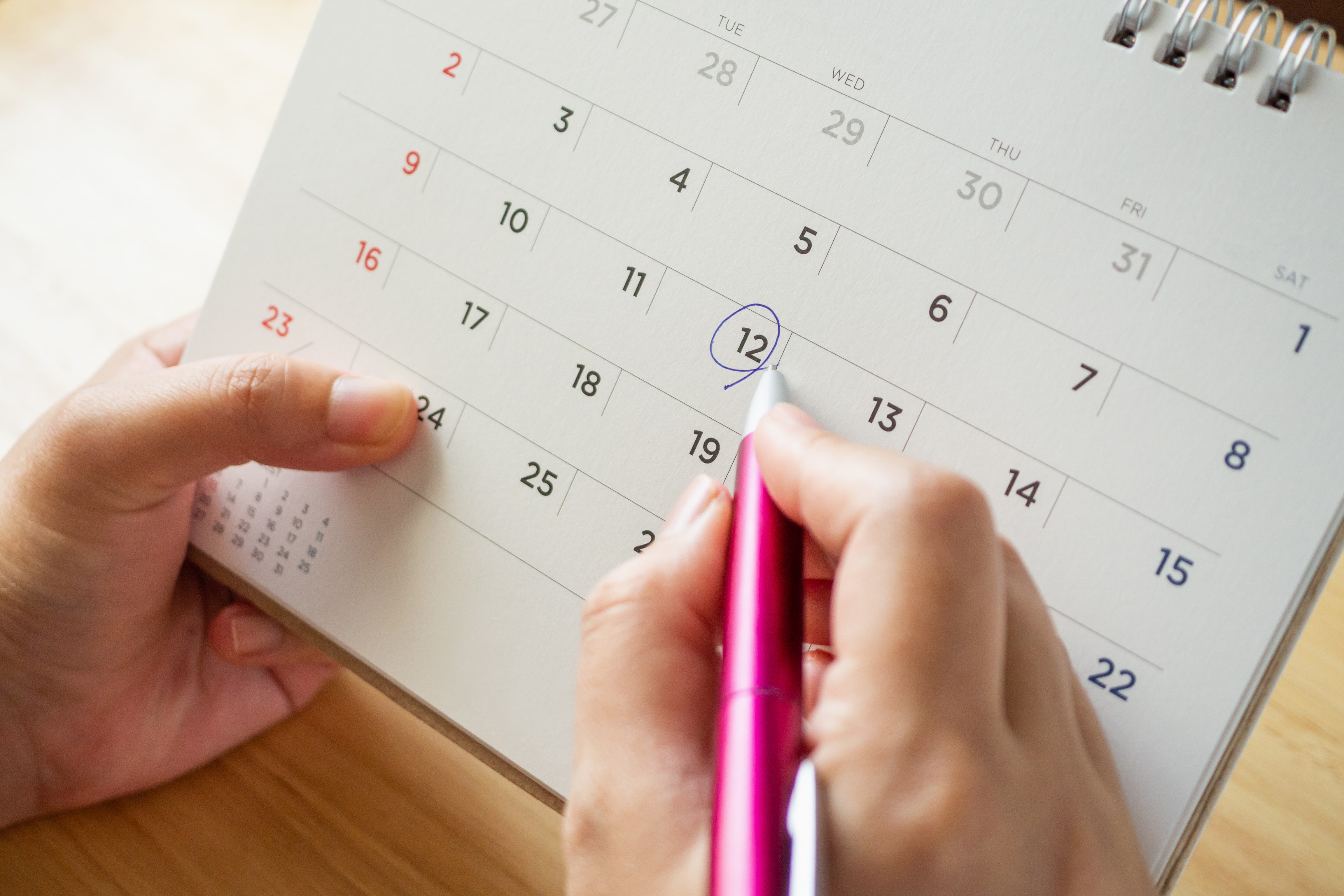annual-forum-planning
