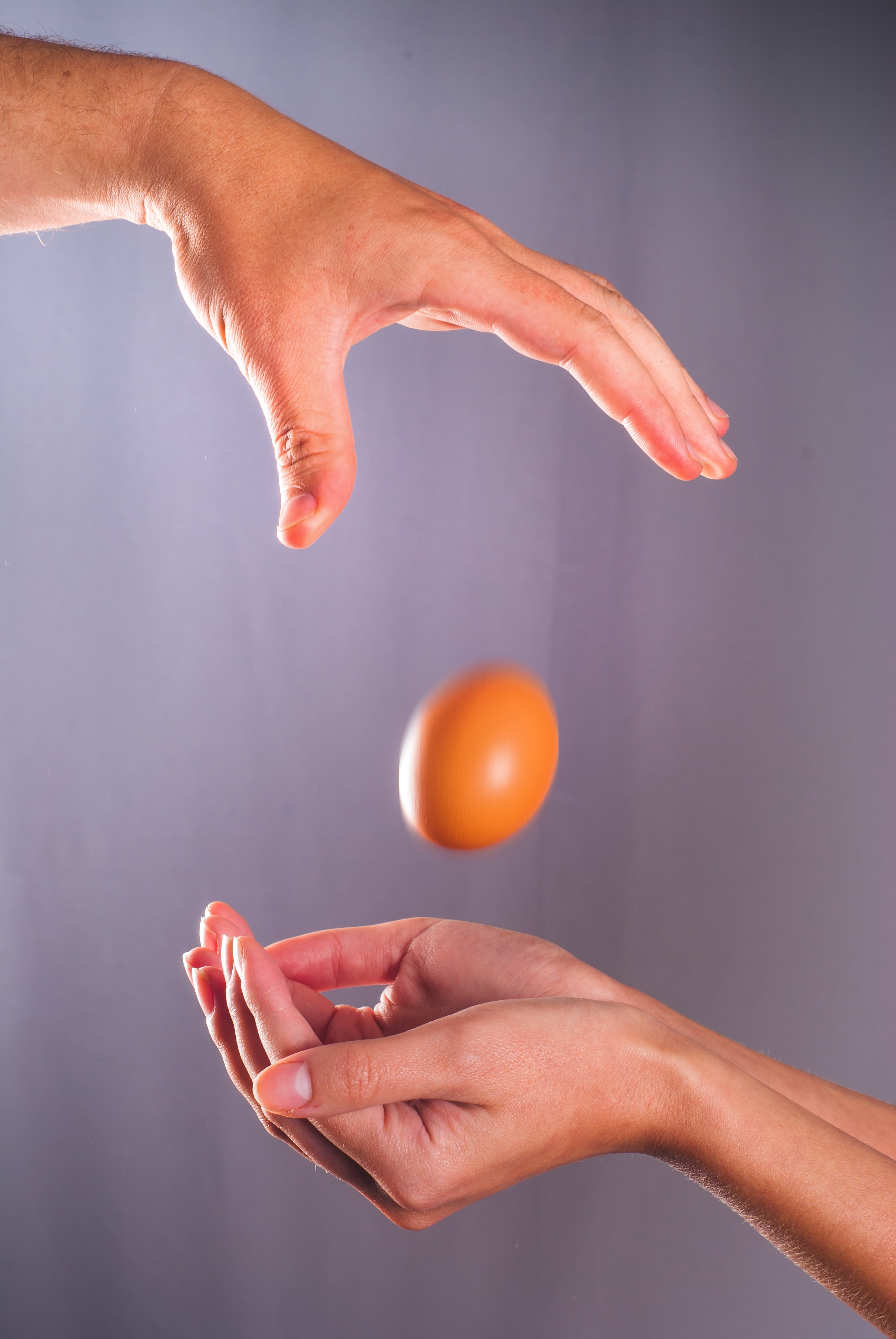 egg-drop