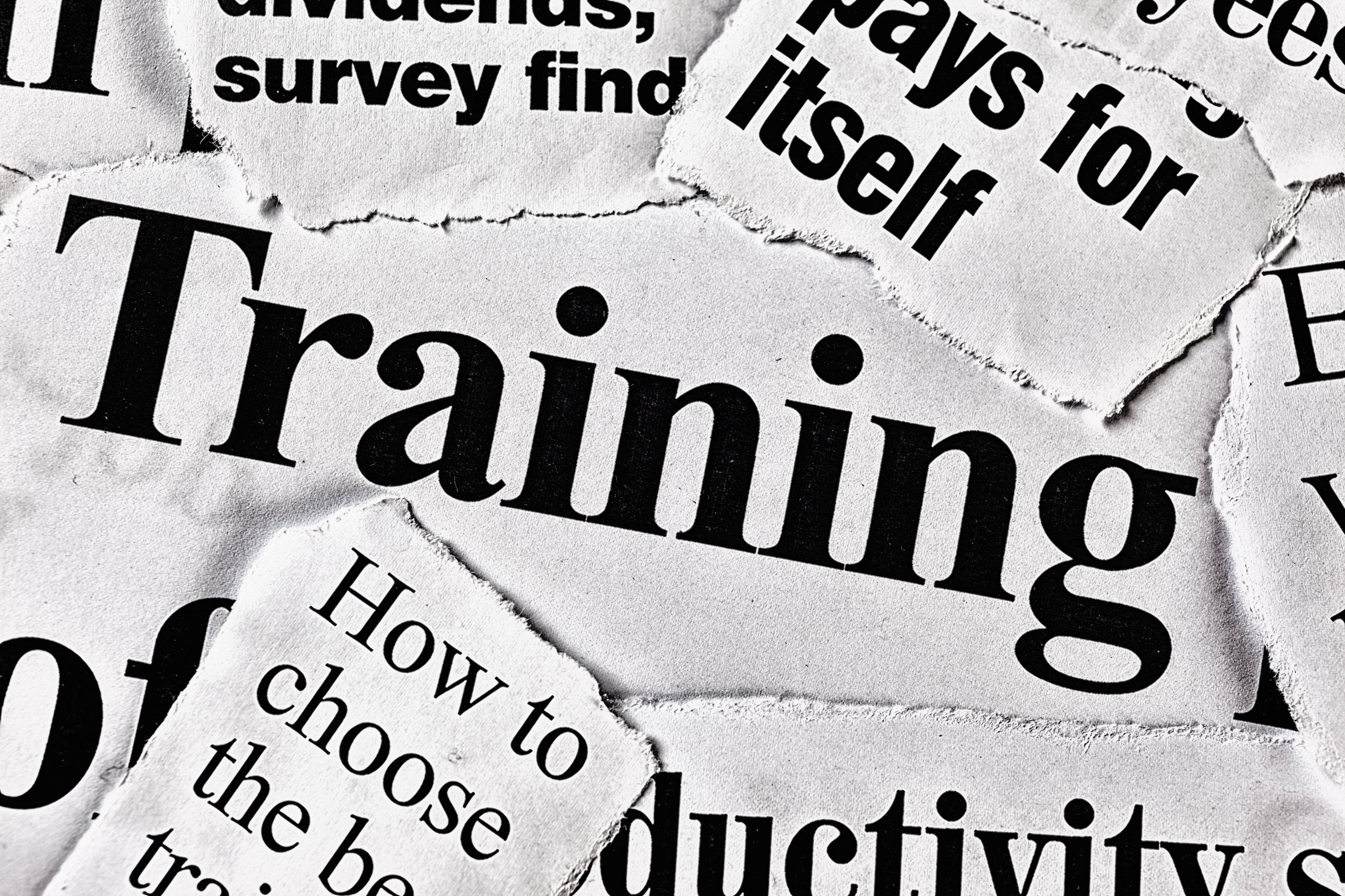 management-training