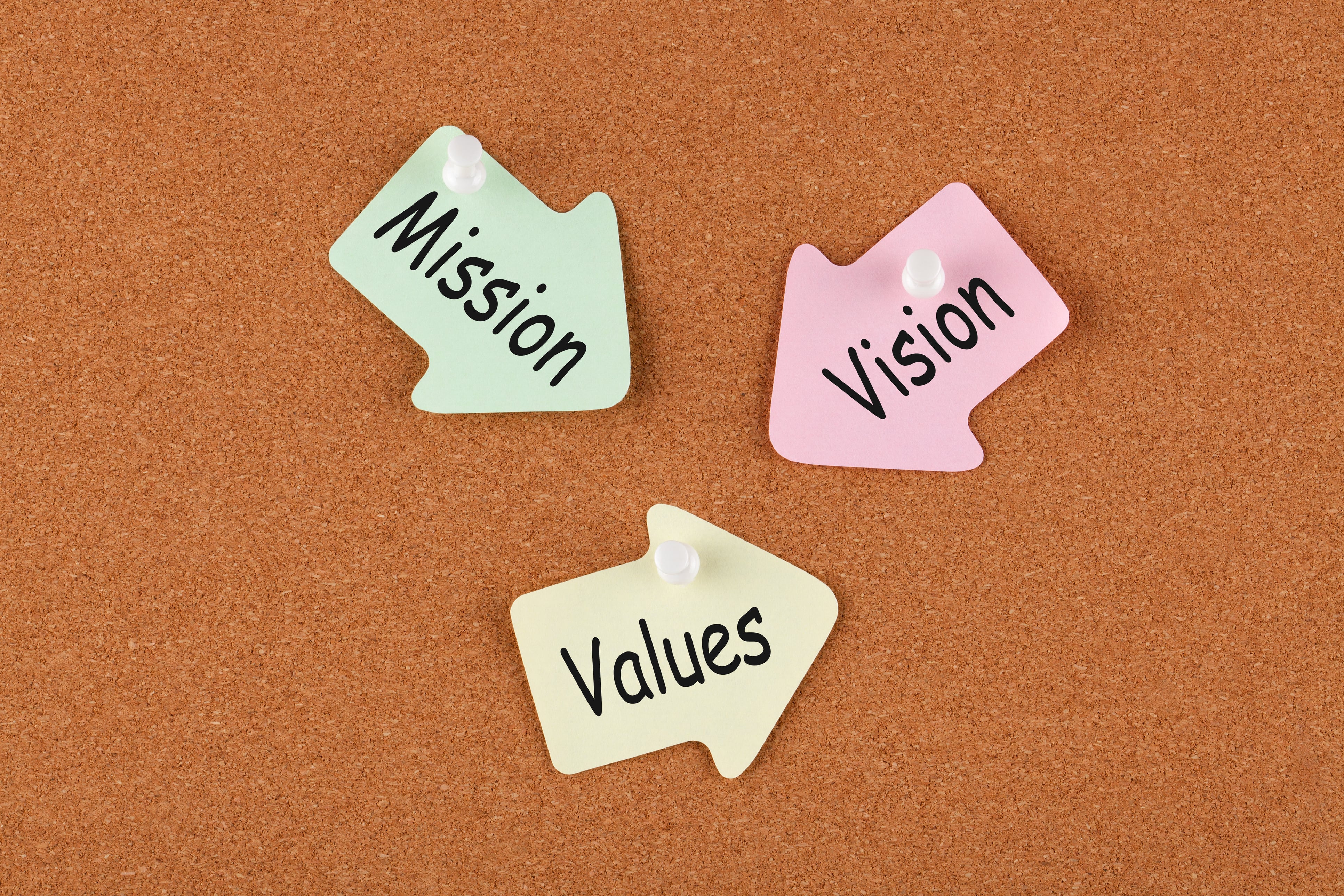mission-visions-values-and-goals