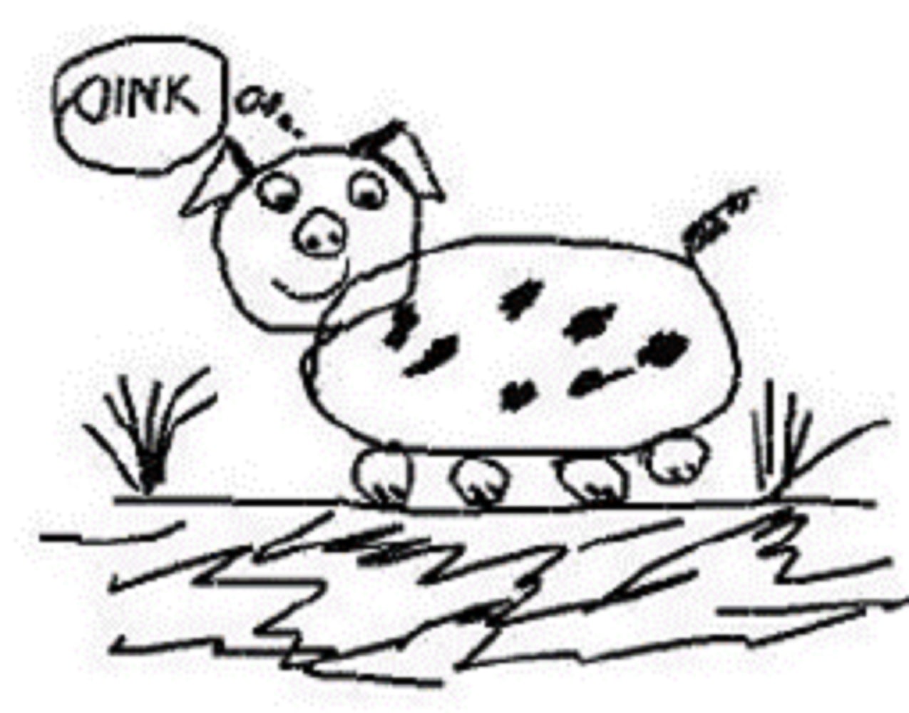 pig-test